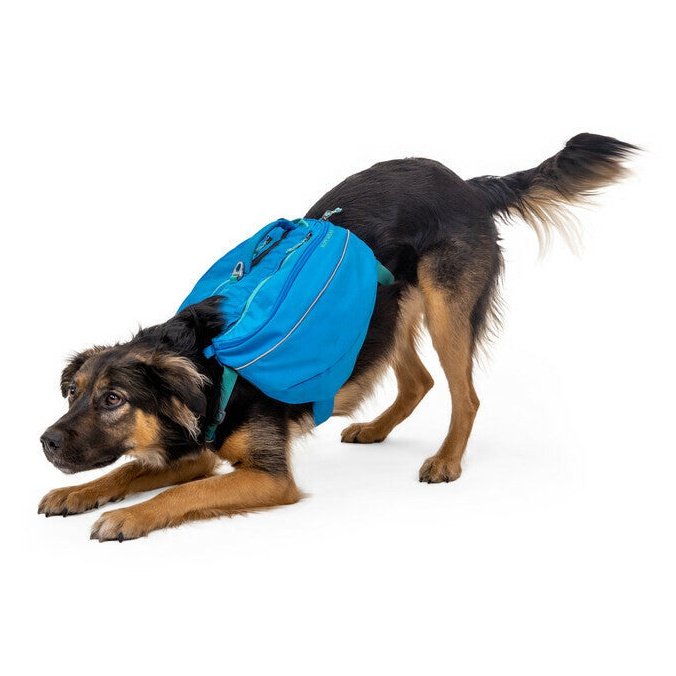 Ruffwear Approach Dog Backpack