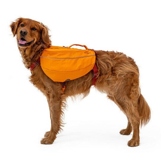 Ruffwear Approach Dog Backpack