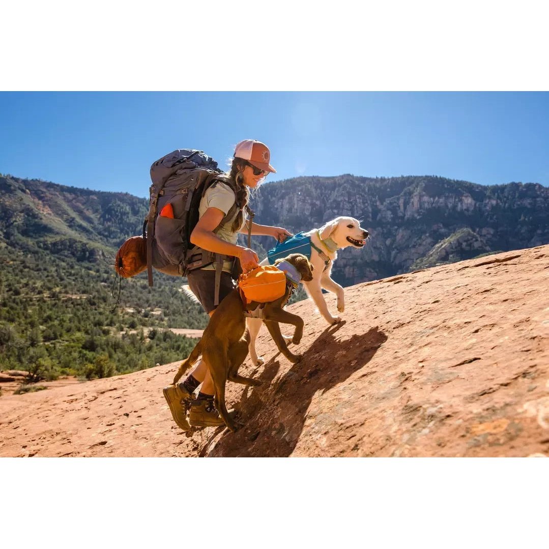 Ruffwear Approach Dog Backpack