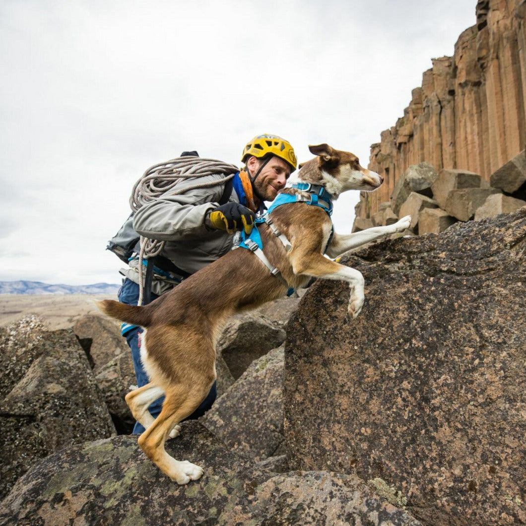 Ruffwear Flagline Harness