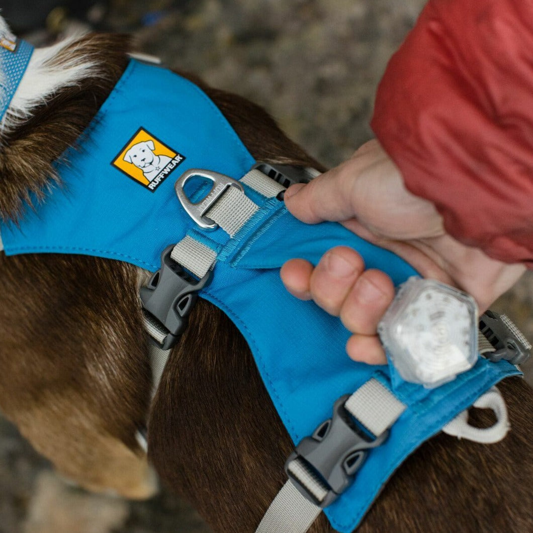 Ruffwear Flagline Harness
