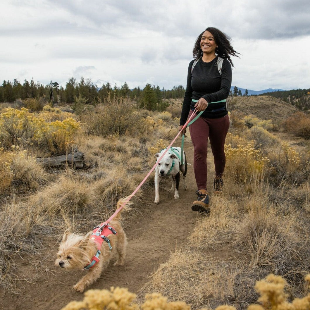 Ruffwear Flagline Harness