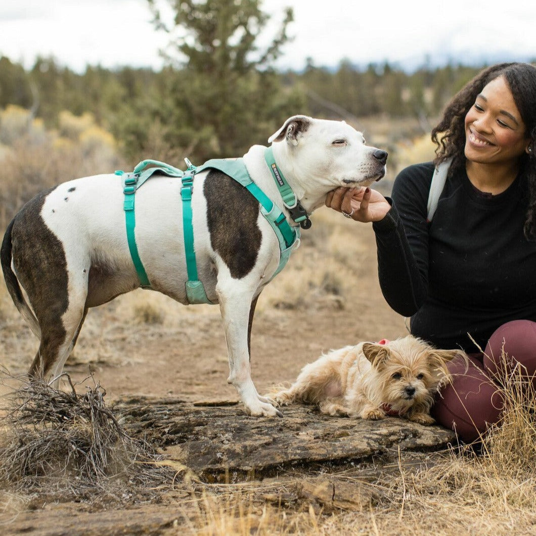 Ruffwear Flagline Harness