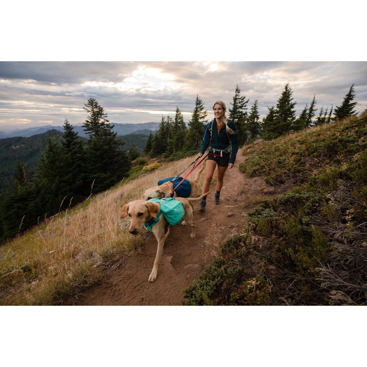 Ruffwear Front Range Day Pack OUTLET