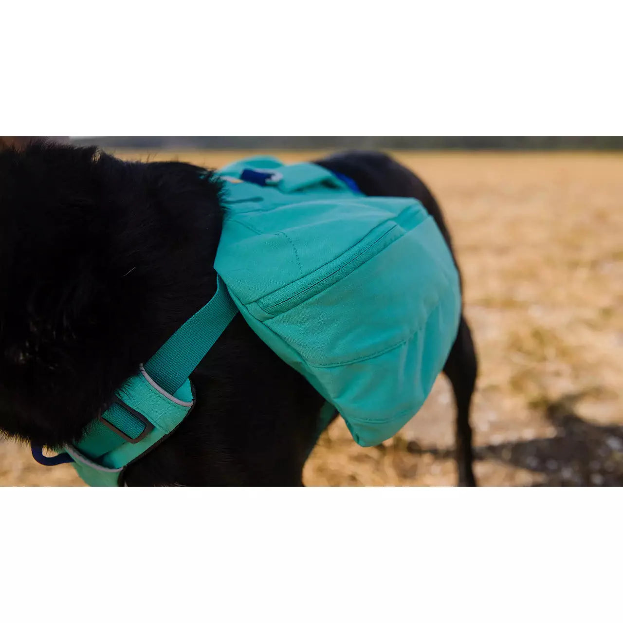 Ruffwear Front Range Day Pack OUTLET