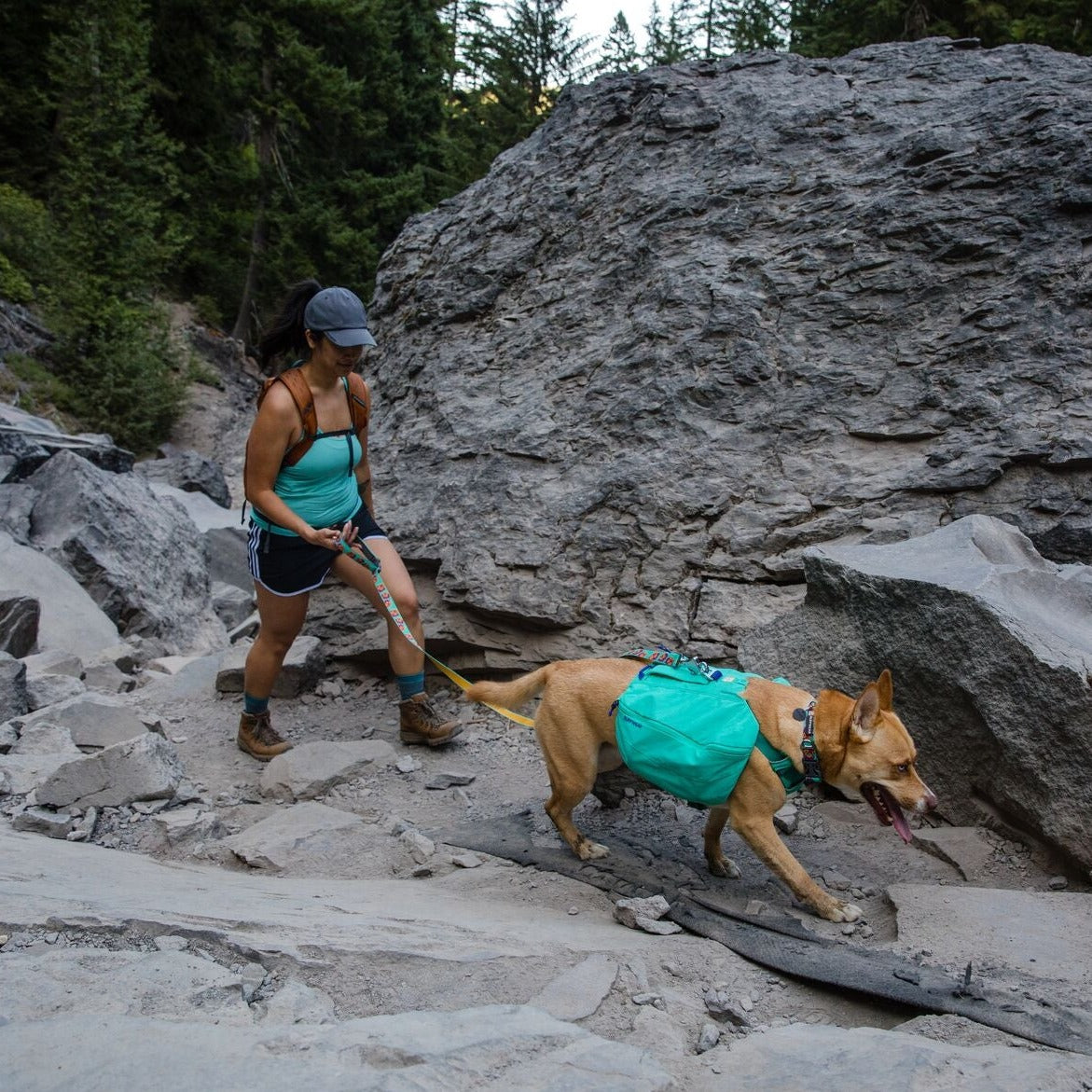 Ruffwear Front Range Day Pack OUTLET
