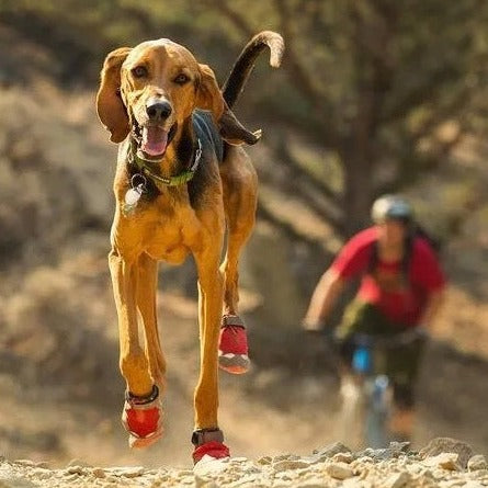 Ruffwear Grip Trex Dog Boots, 2 kpl