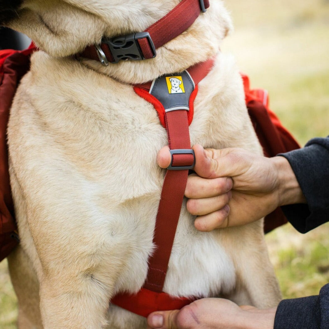 Ruffwear Palisades Dog Backpack