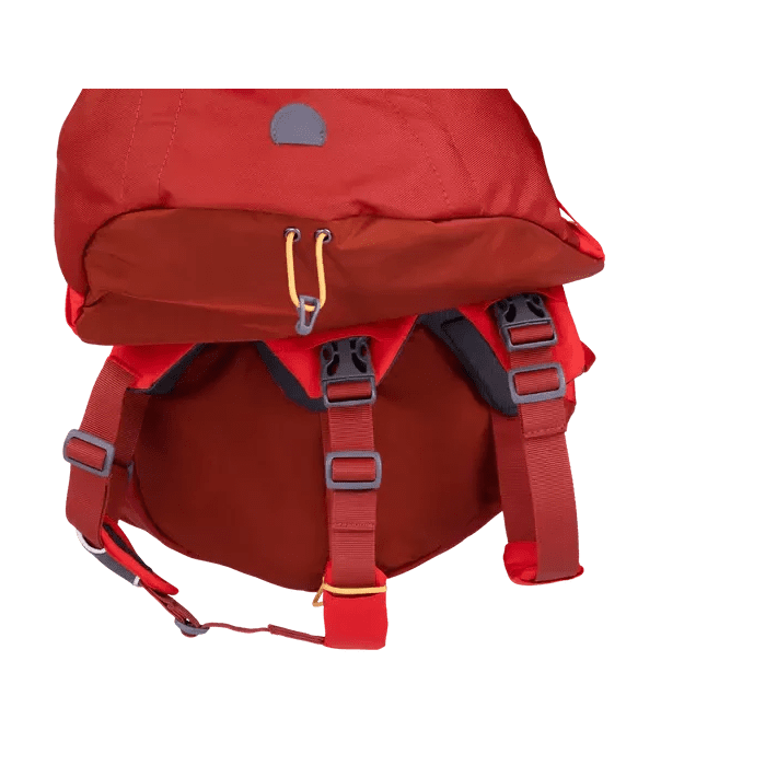 Ruffwear Palisades Dog Backpack