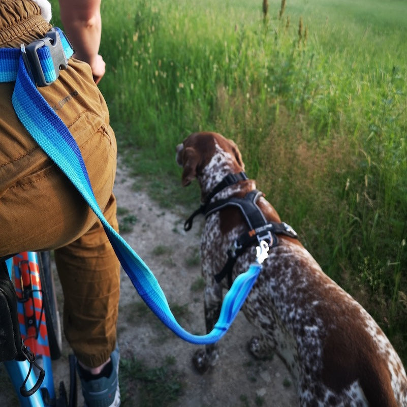 Ruffwear Roamer Bungee Leash