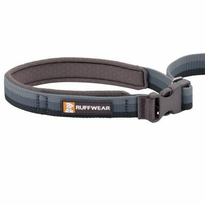 Ruffwear Roamer Bungee Leash