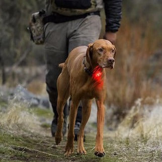 Ruffwear The Beacon Safety Light