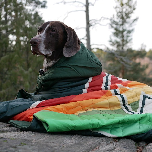 Voited Travel Blanket