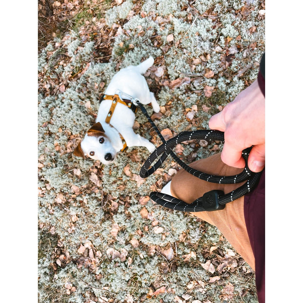 WoollyWolf Rope Leash