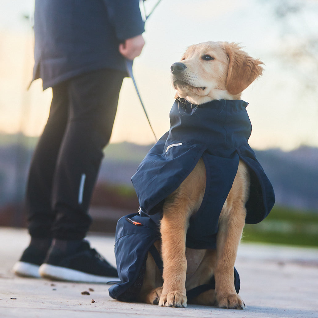 Non-stop dogwear Glacier Wool Jacket 2.0 OUTLET