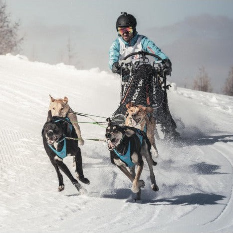 Inlandsis Blizzard Beast Harness V2