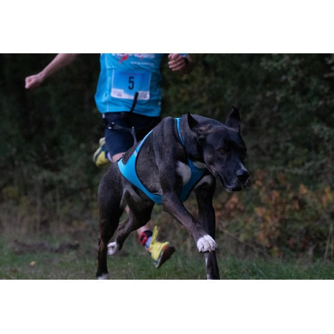 Inlandsis Blizzard Beast Harness V2