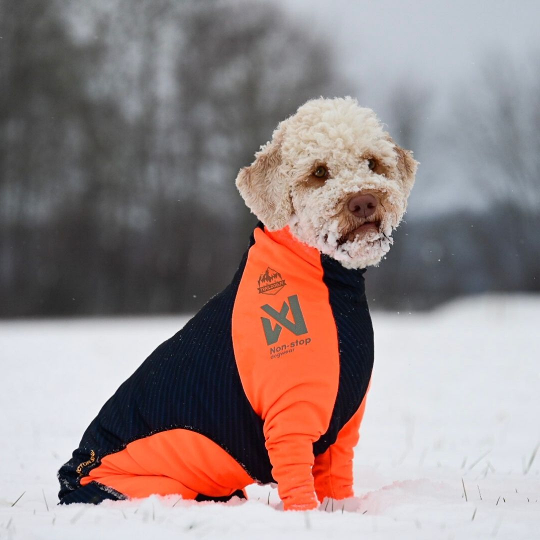 Non-stop dogwear Protector Snow OUTLET
