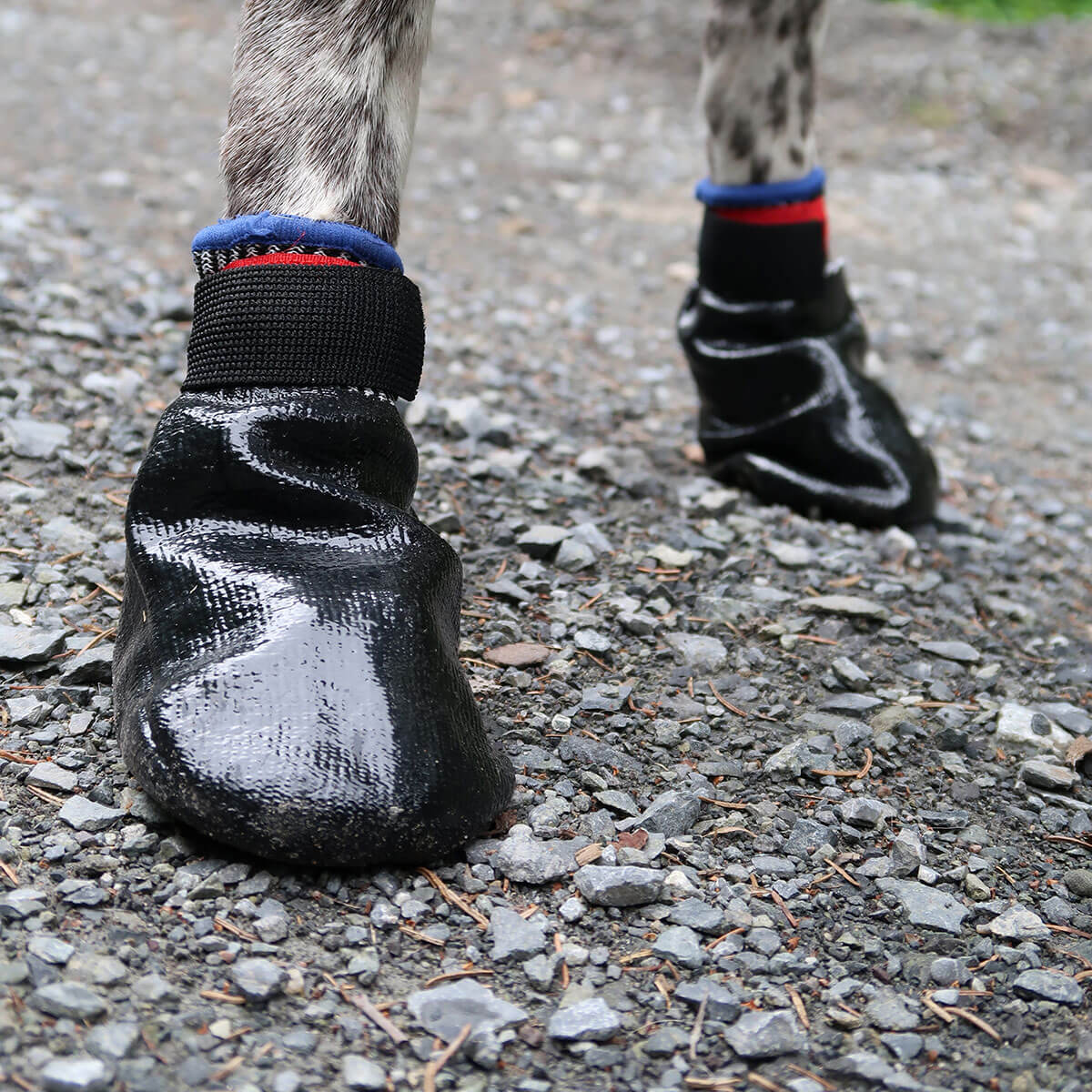 Dragråttan V.I.P Rubber Booties, 4 kpl