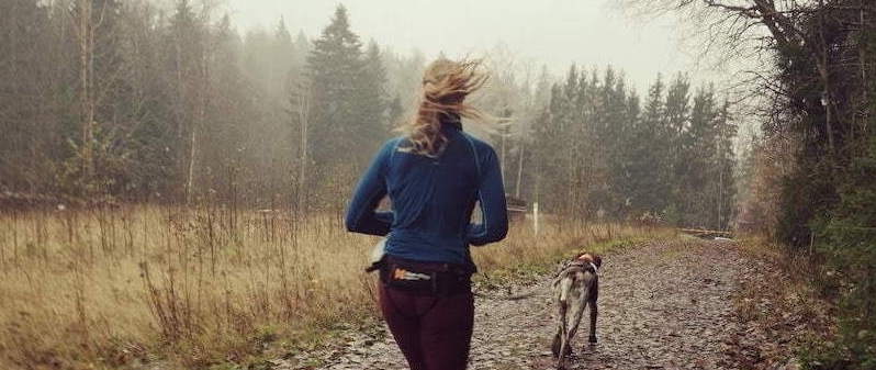 Polkujuoksua koiran kanssa: Sipoonkorpi Trailrun 14km