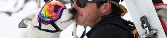 Koiran silmien suojaaminen on fiksua - tutustu Rex Specs koiran aurinkolaseihin