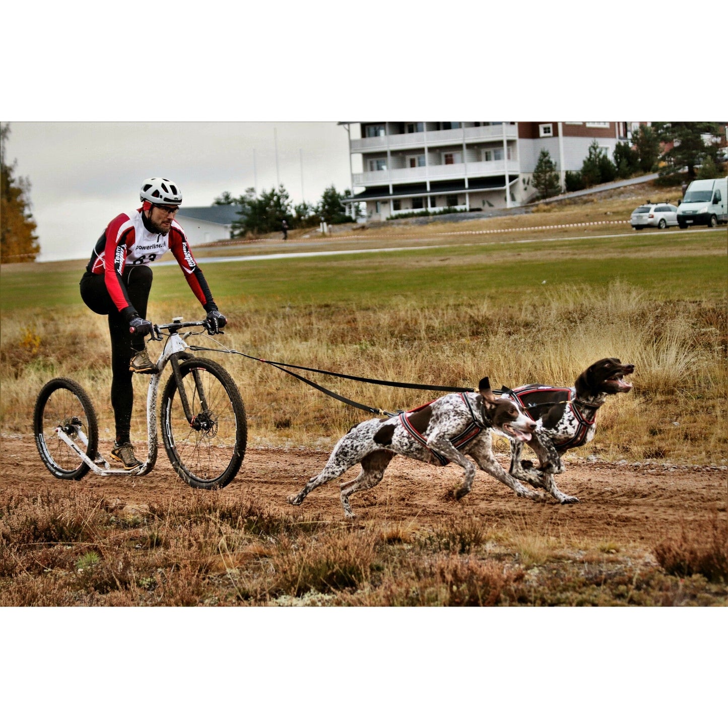 Kainpo Sprint Harness