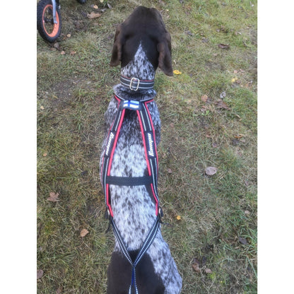 Kainpo Sprint Harness