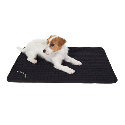Back on Track Dog Allround Mattress