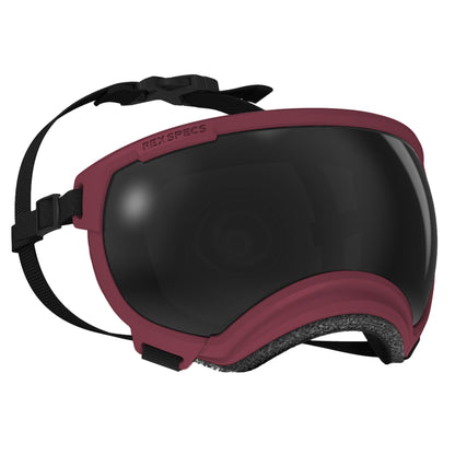 Rex Specs V2 Goggle