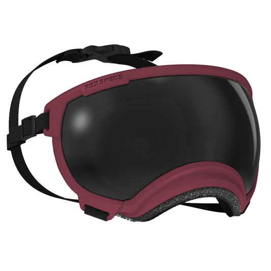 Rex Specs V2 Goggle