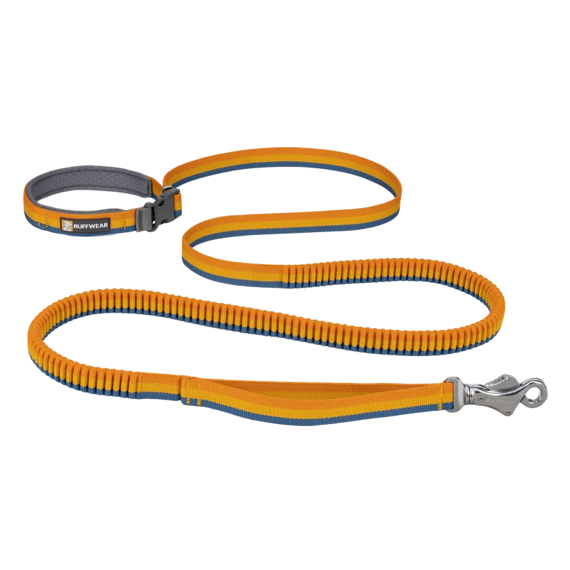 Ruffwear Roamer Bungee Leash