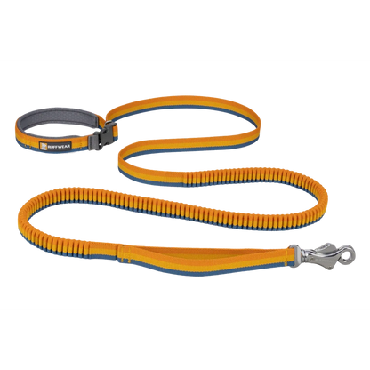 Ruffwear Roamer Bungee Leash