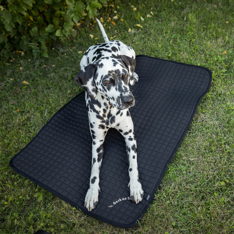Back on Track Dog Allround Mattress