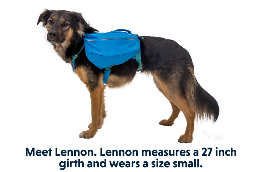 Ruffwear Approach Dog Backpack