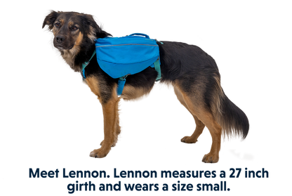 Ruffwear Approach Dog Backpack