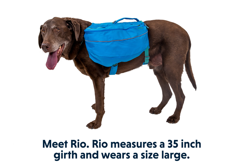 Ruffwear Approach Dog Backpack