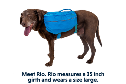 Ruffwear Approach Dog Backpack