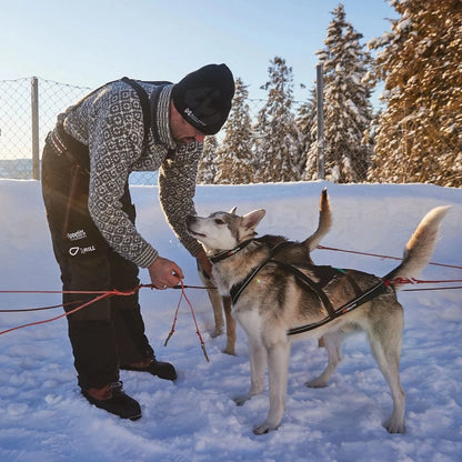 Non-stop dogwear Arctic Buksa 2.0