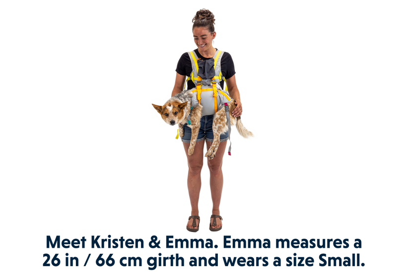 Ruffwear BackTrak Dog Evacuation Kit