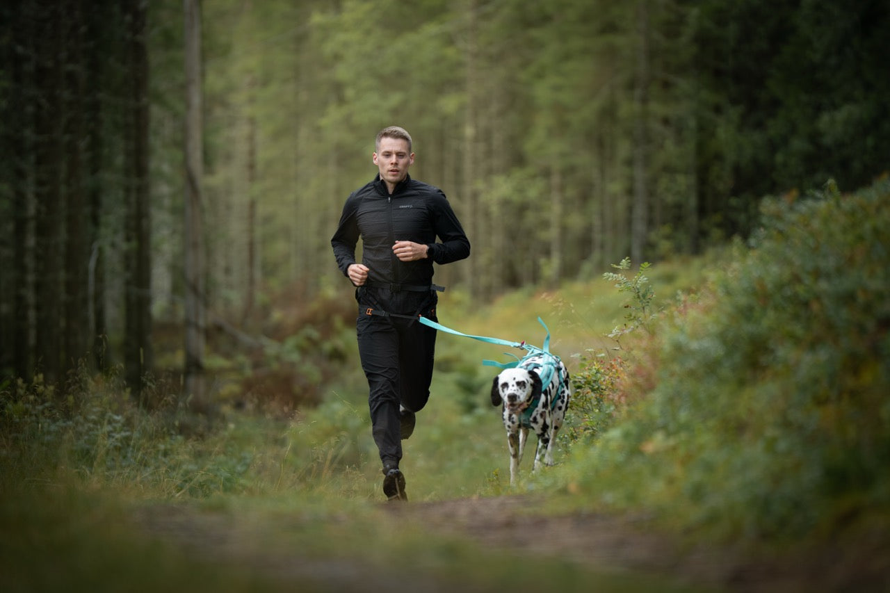 Mies juoksee dalmatiankoiran kanssa metsäpolulla Non-stop CaniX Belt 3.0 -vetovyö päällään