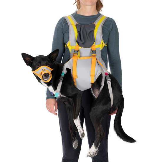 Ruffwear BackTrak Dog Evacuation Kit