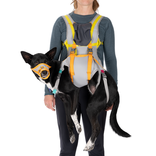 Ruffwear BackTrak Dog Evacuation Kit