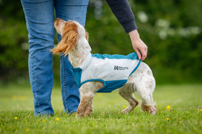 Non-stop dogwear Cooling Pull-On Vest