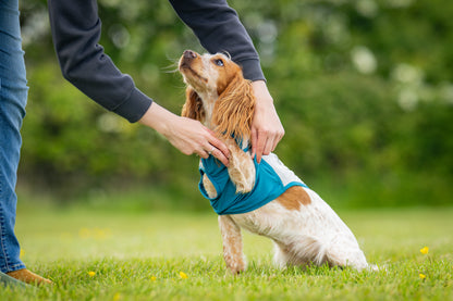 Non-stop dogwear Cooling Pull-On Vest