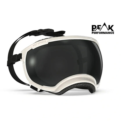 Rex Specs V2 Goggle