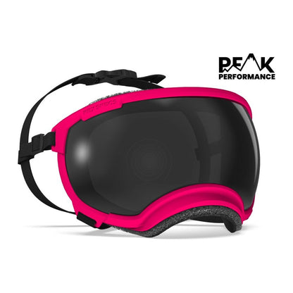 Rex Specs V2 Goggle