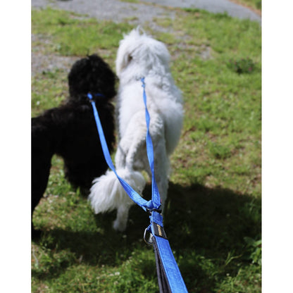 V.I.P. dogwear Walker Duo Leash