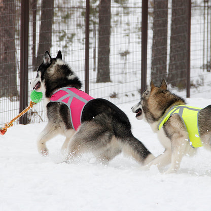 Kivalo Kaamos koiran heijastinliivi