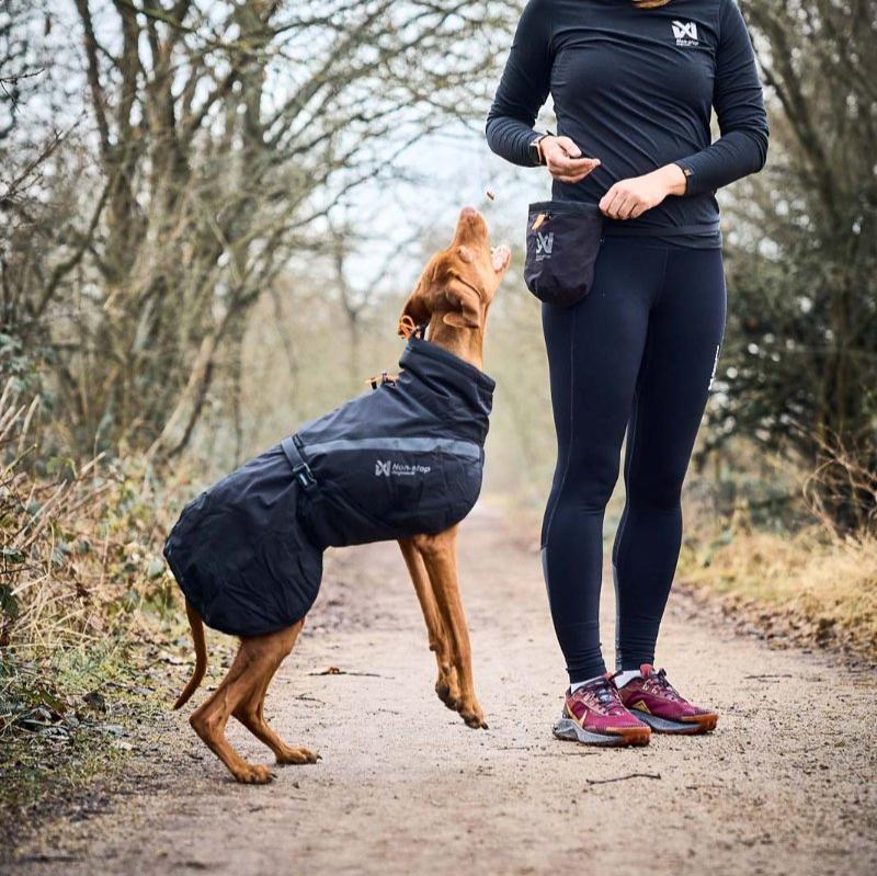 Non-stop dogwear Treat Bag