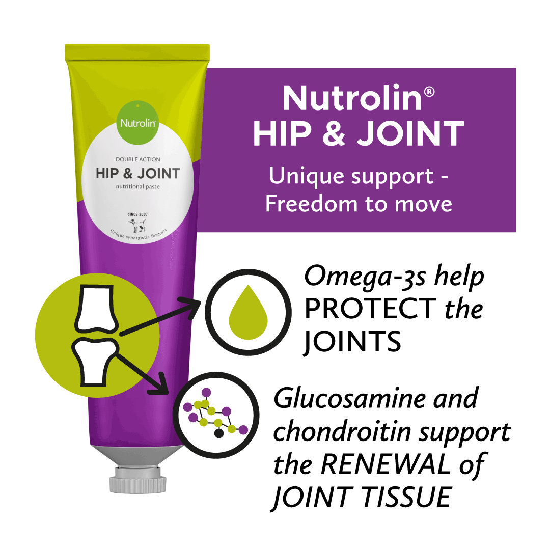 Nutrolin® HIP & JOINT